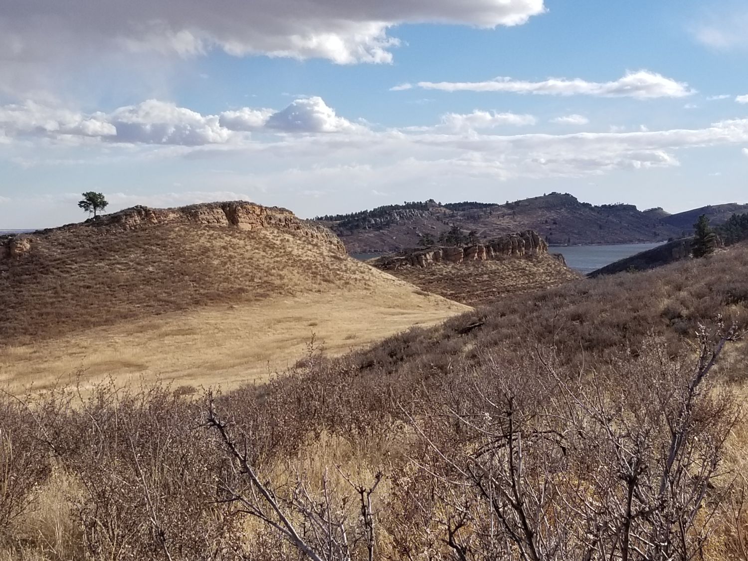 Shoreline and Quarry Ridge 